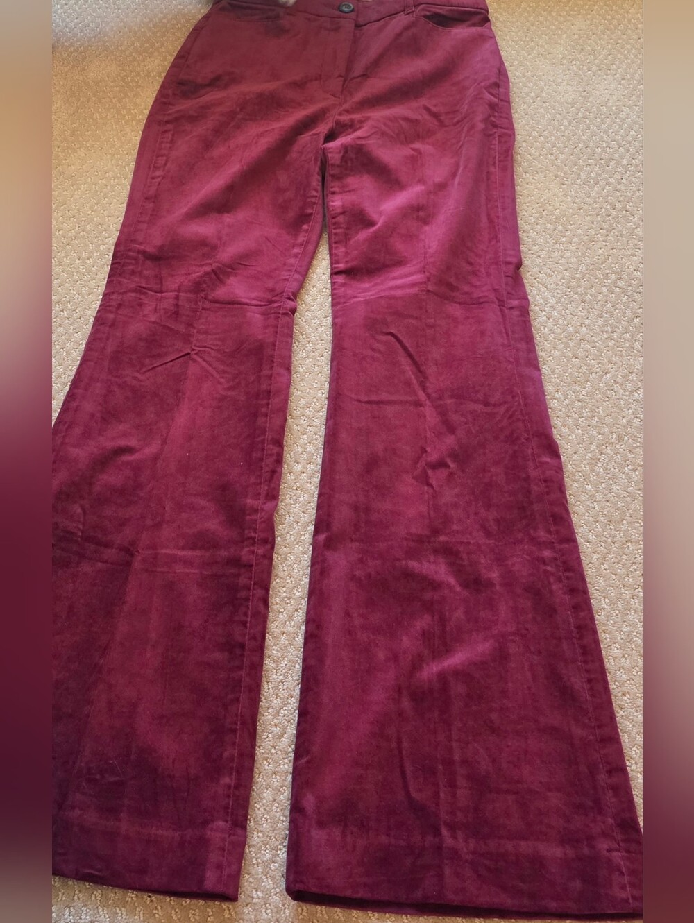 LOFT Velvet Boot-Cut Pants "Curvy Fit"